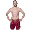 8 WEAPONS Strike Muay Thai Kickboxing Short Rood Goud -Boksen Winkel 8 weapons 8 weapons strike muay thai kickboxing sh