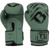 Booster Kids Elite V2.3 Bokshandschoenen Groen Zwart -Boksen Winkel booster booster kids elite v23bokshandschoenen gro