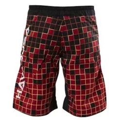 Hayabusa Fight Shorts Technique MMA Training Short -Boksen Winkel hayabusa hayabusa fight shorts technique mma train 3