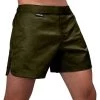 Hayabusa Hex Hybrid Fight Shorts Groen 1 Hayabusa Hex Hybrid Fight Shorts Groen -Boksen Winkel hayabusa hayabusa hex hybrid fight shorts groen