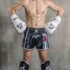 King Pro Boxing Bokshandschoenen Wit KPB/BG 2 Leder