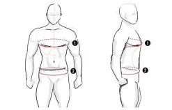 UFC Venum Pro Line Heren Hoodie Champion -Boksen Winkel ufc venum ufc venum pro line heren hoodie champion 5